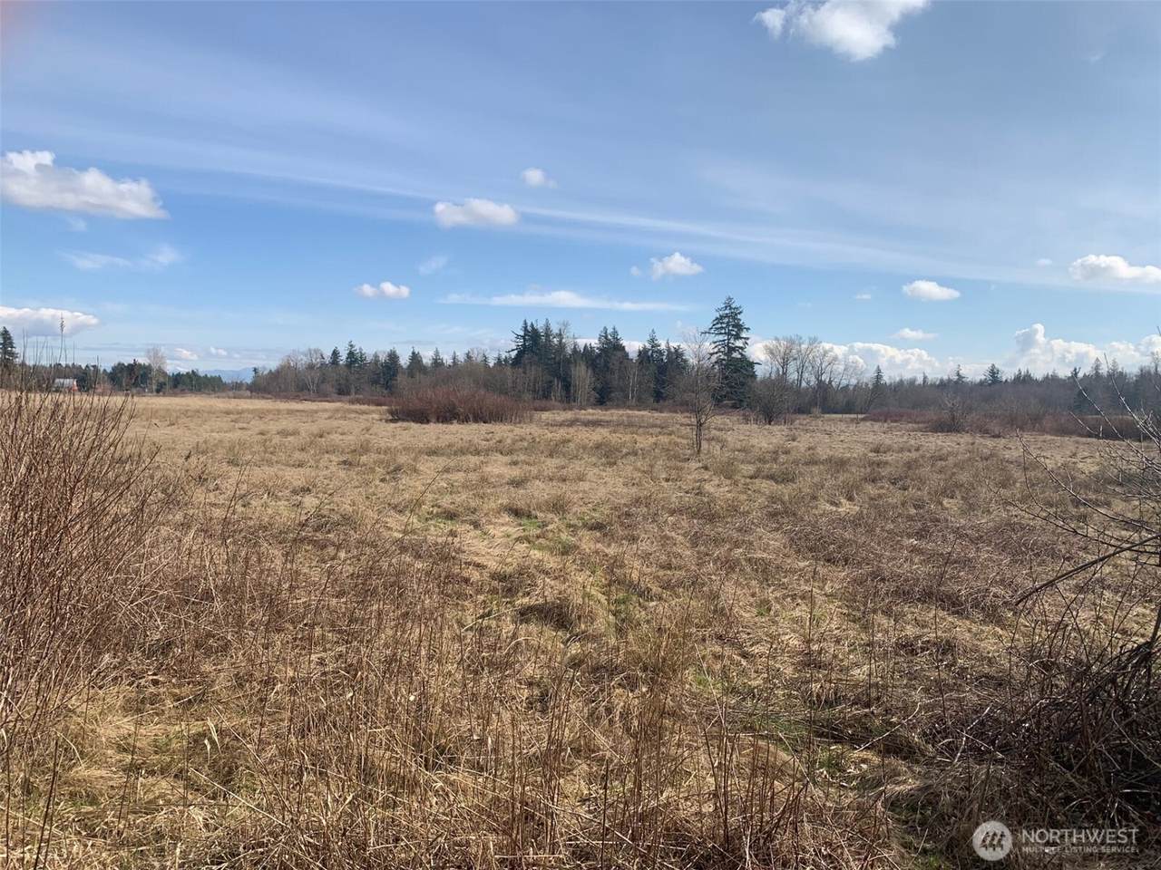 9924 Markworth Road - Photo 1