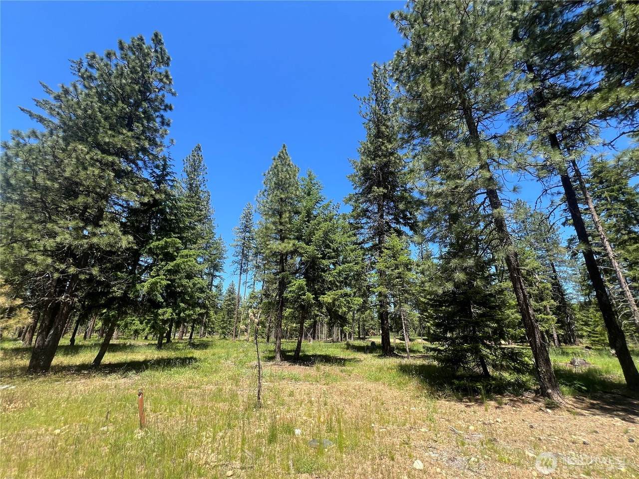 33 Domerie Park Loop - Photo 1