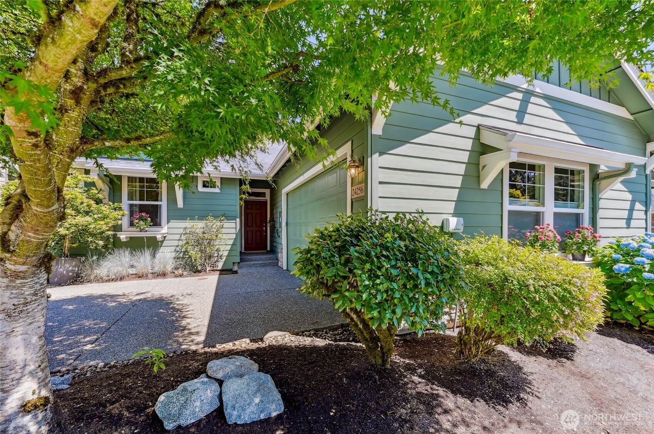 24256 Vine Maple Way - Photo 1