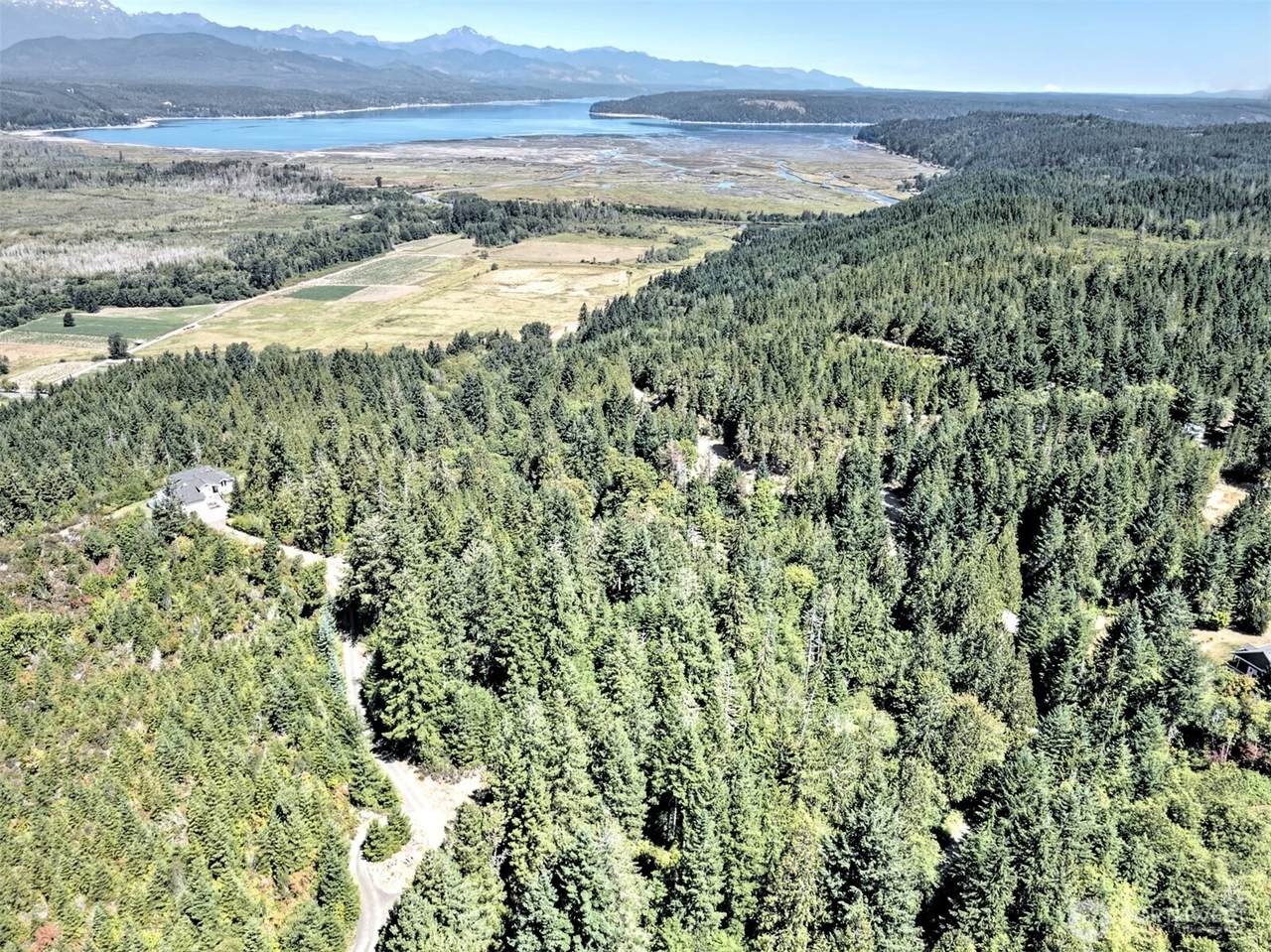 12 Acres Webb Hill Road - Photo 1