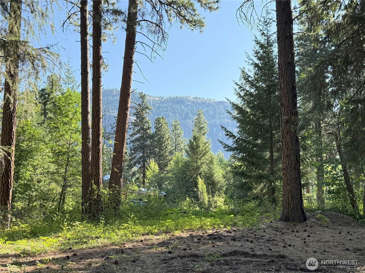 41 TBD Davelaar Drive - Photo 1