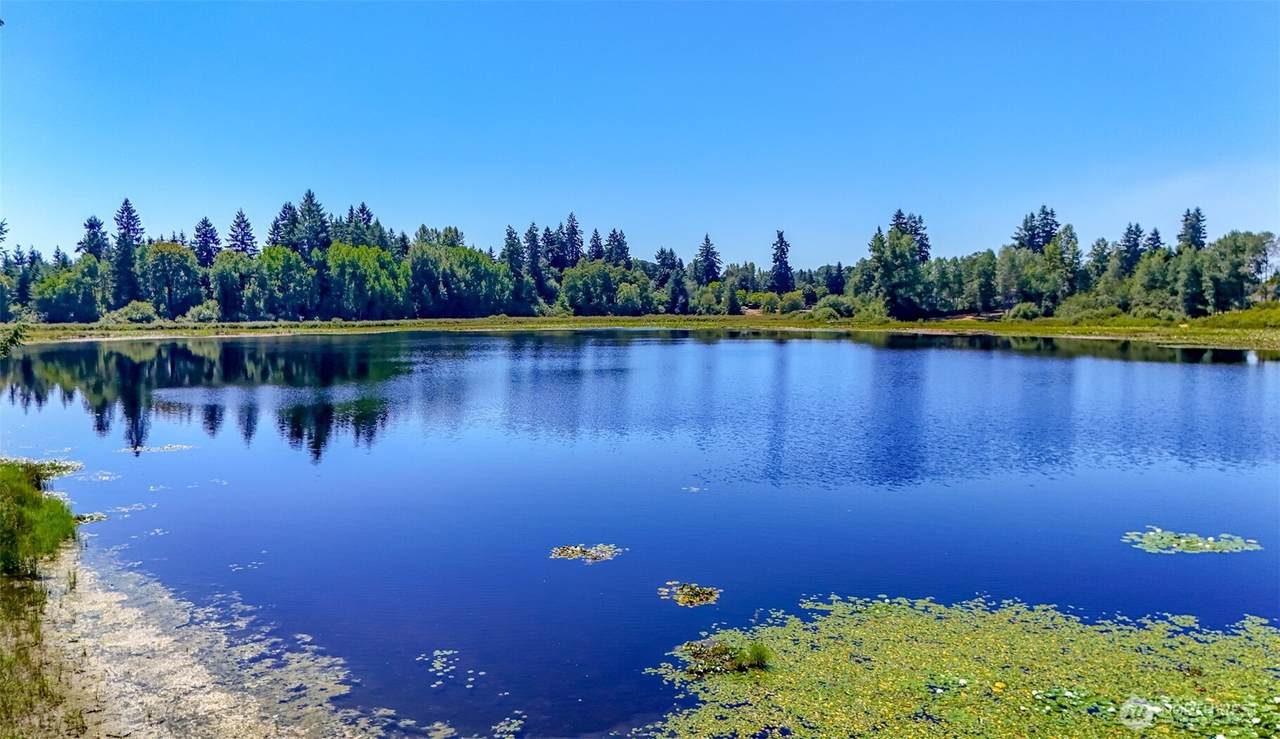 6045 Mullen Road - Photo 1