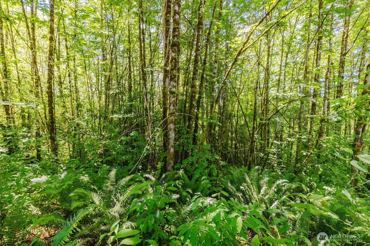 11 Lot Cassie Place - Photo 1