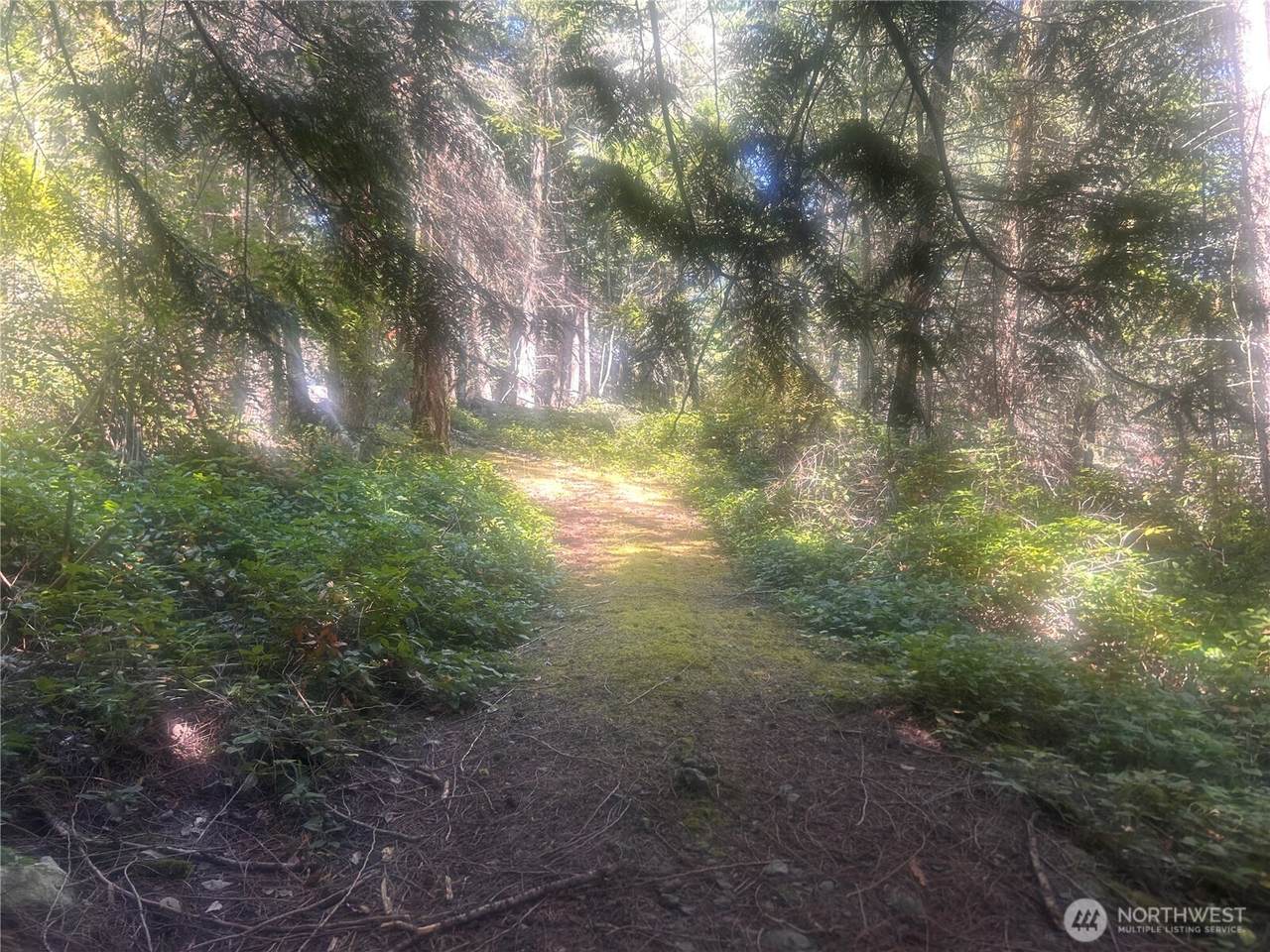 0 XX Rocky Road - Photo 1