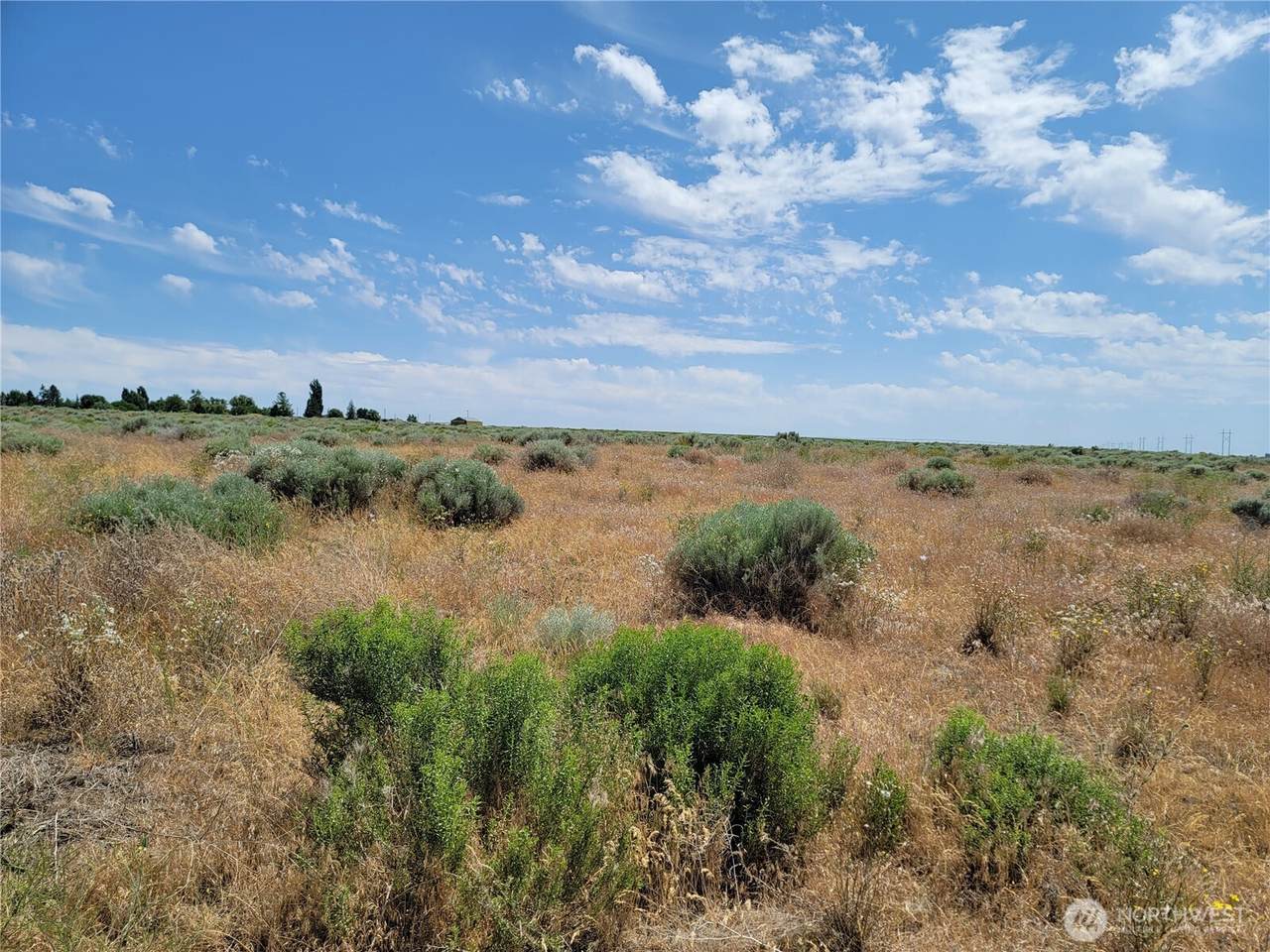 0 Parcel # 061146000- Nna 6th Street - Photo 1