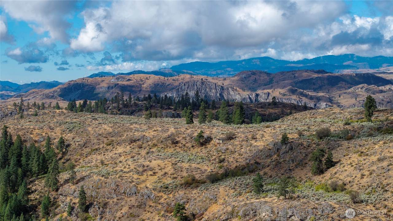 0 Tbd Pharr Out - 10 Way - Photo 1