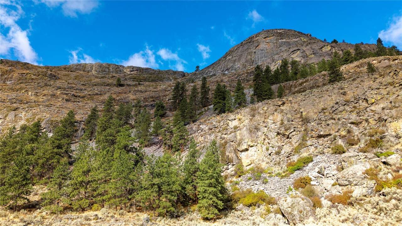 0 Tbd Pharr Out - 15 Way - Photo 1