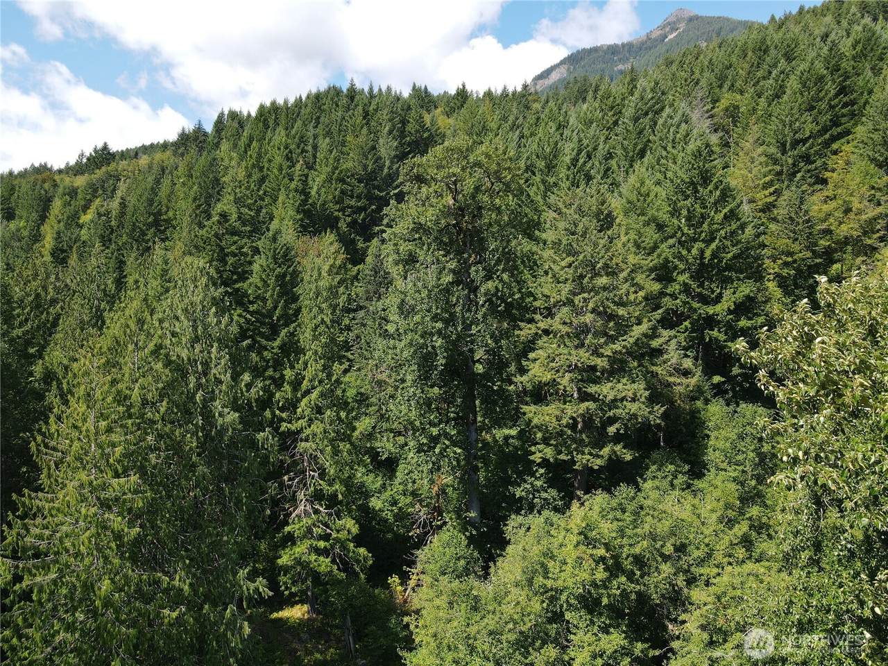 0 Cannon Road - Photo 1