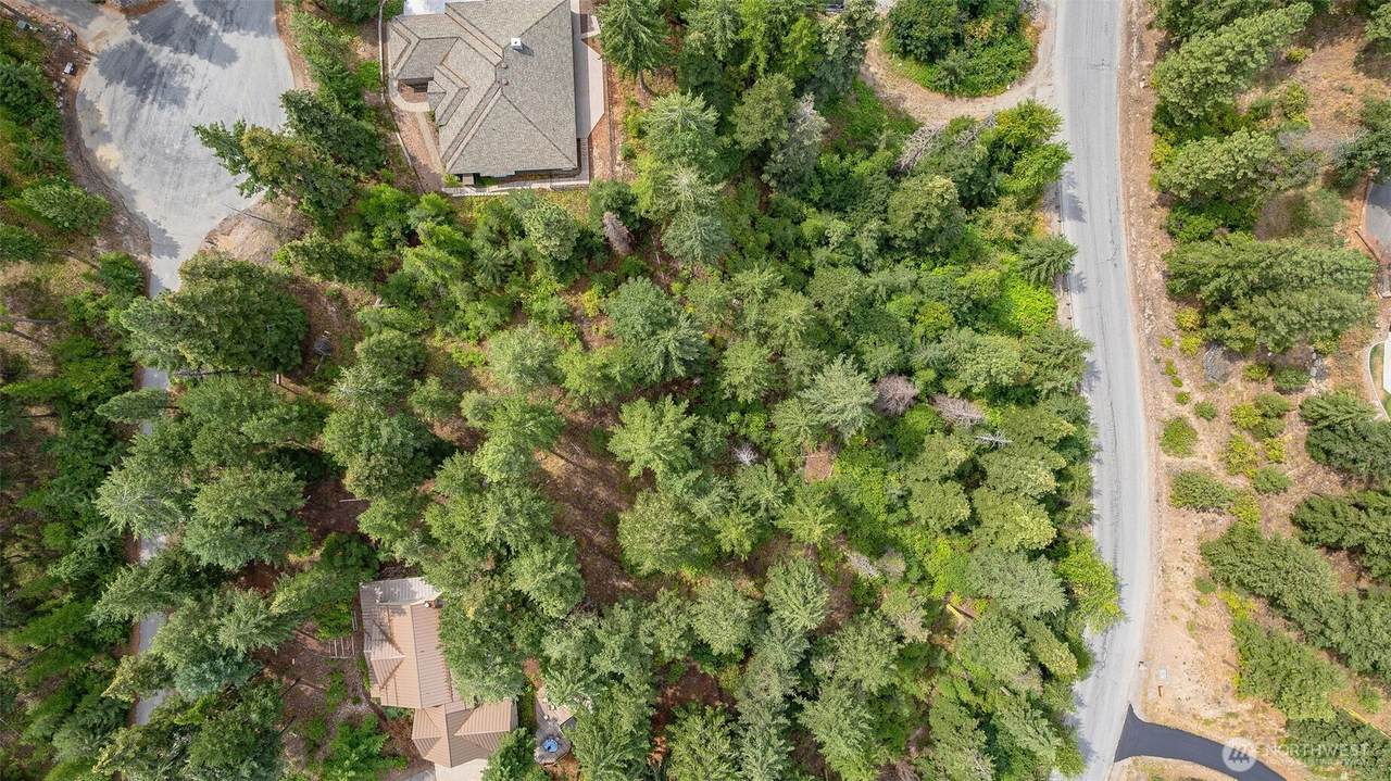 6409 Forest Ridge Drive - Photo 1