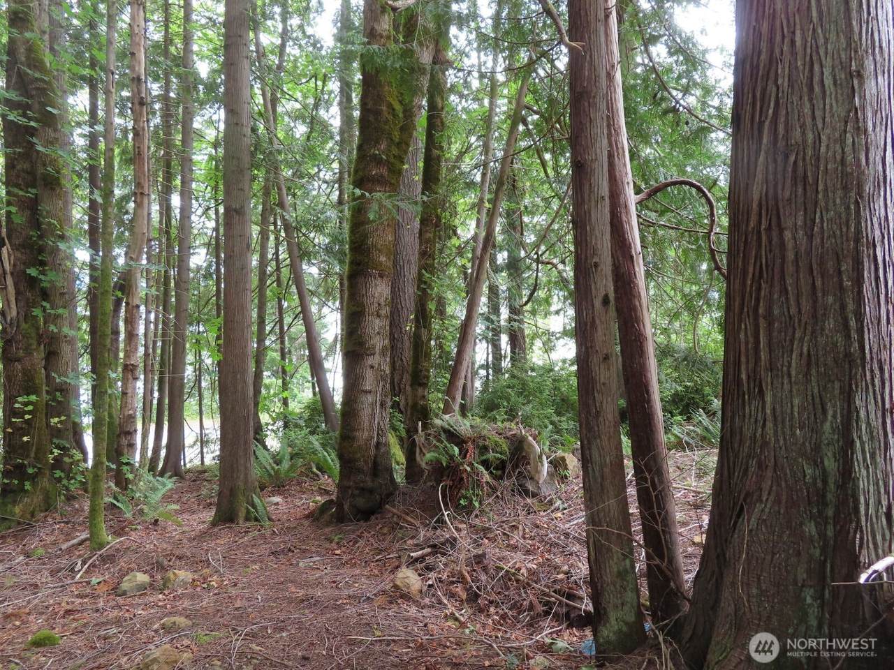 0 Lot 15 Tog Road - Photo 1