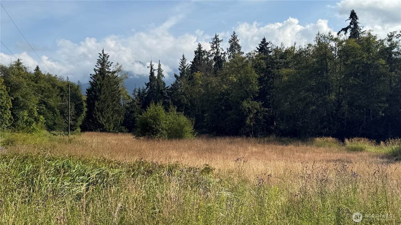 4608 Doss Road - Photo 1