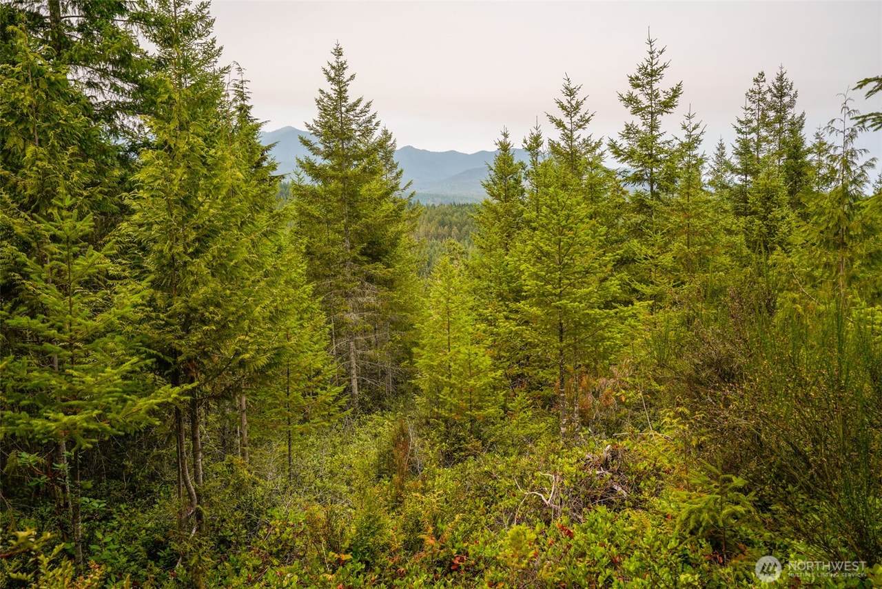 0 Hamma Ridge Court - Photo 1