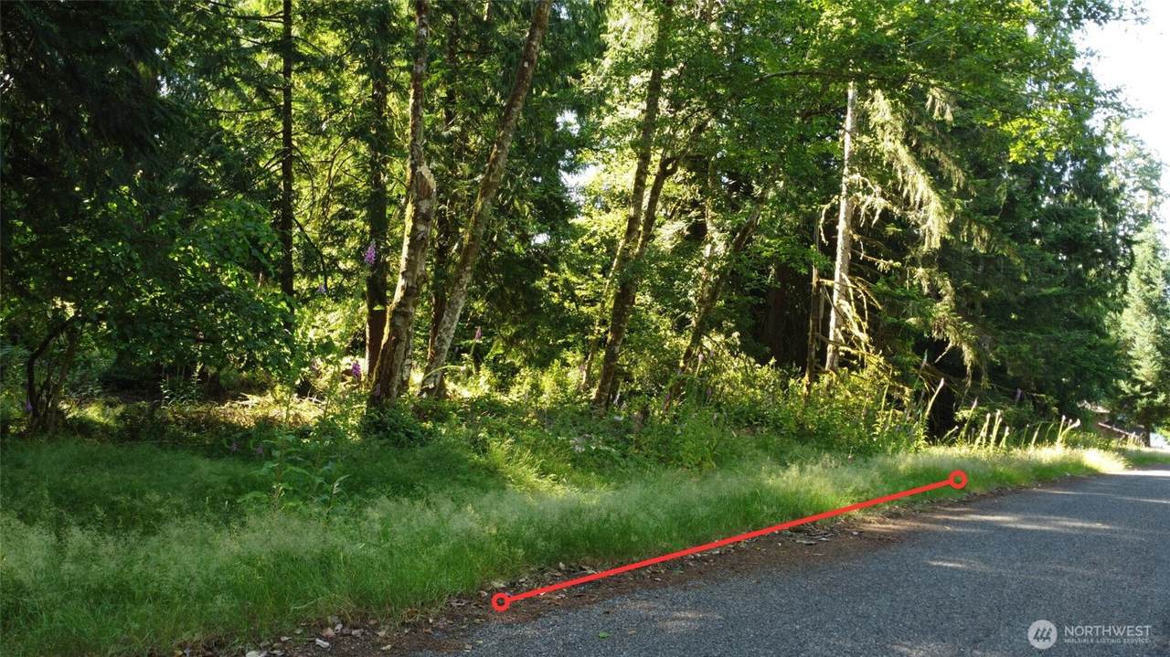 10114 Selma Circle - Photo 1