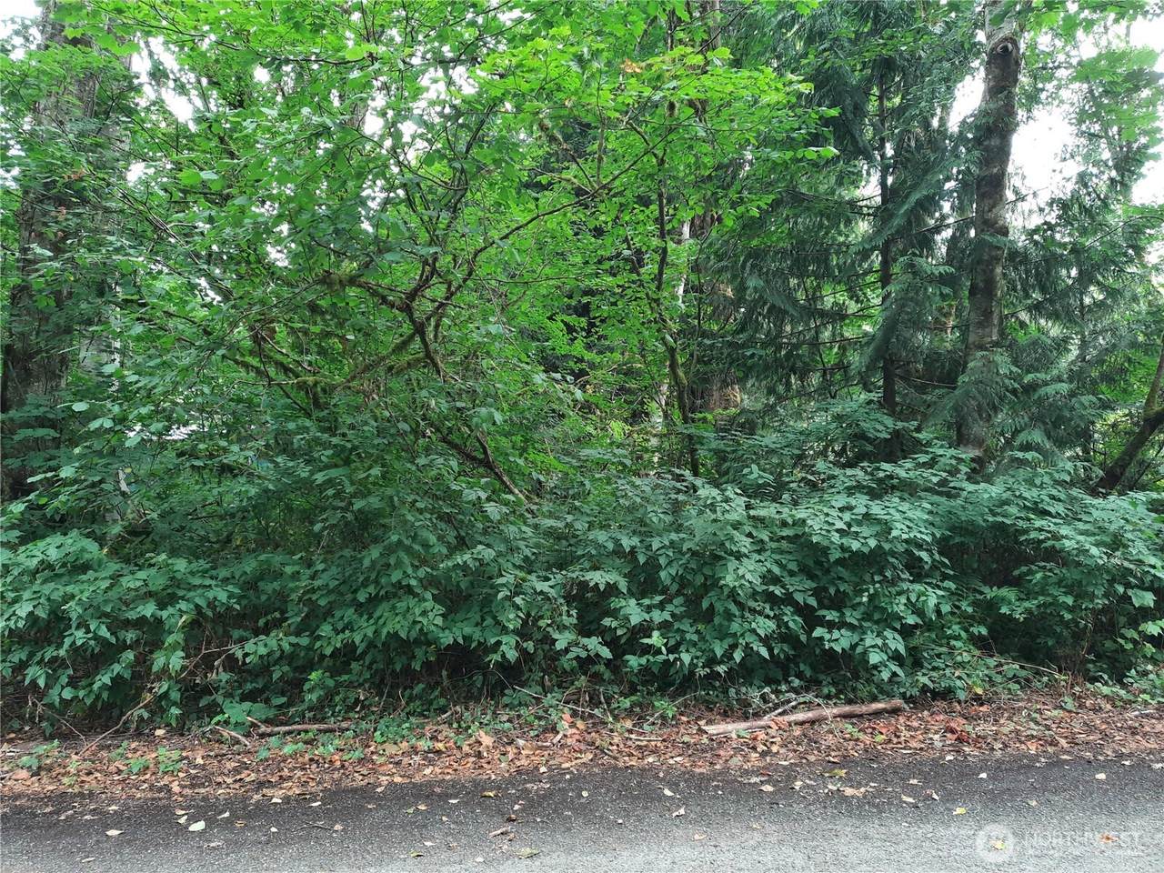 0 Spruce Street - Photo 1