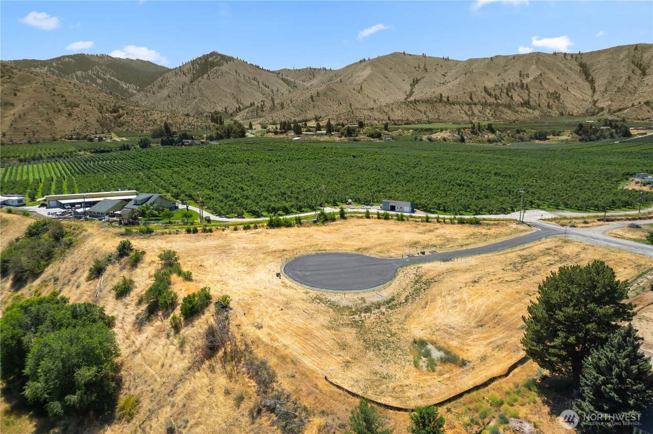 6 Penstemon Lane - Photo 1