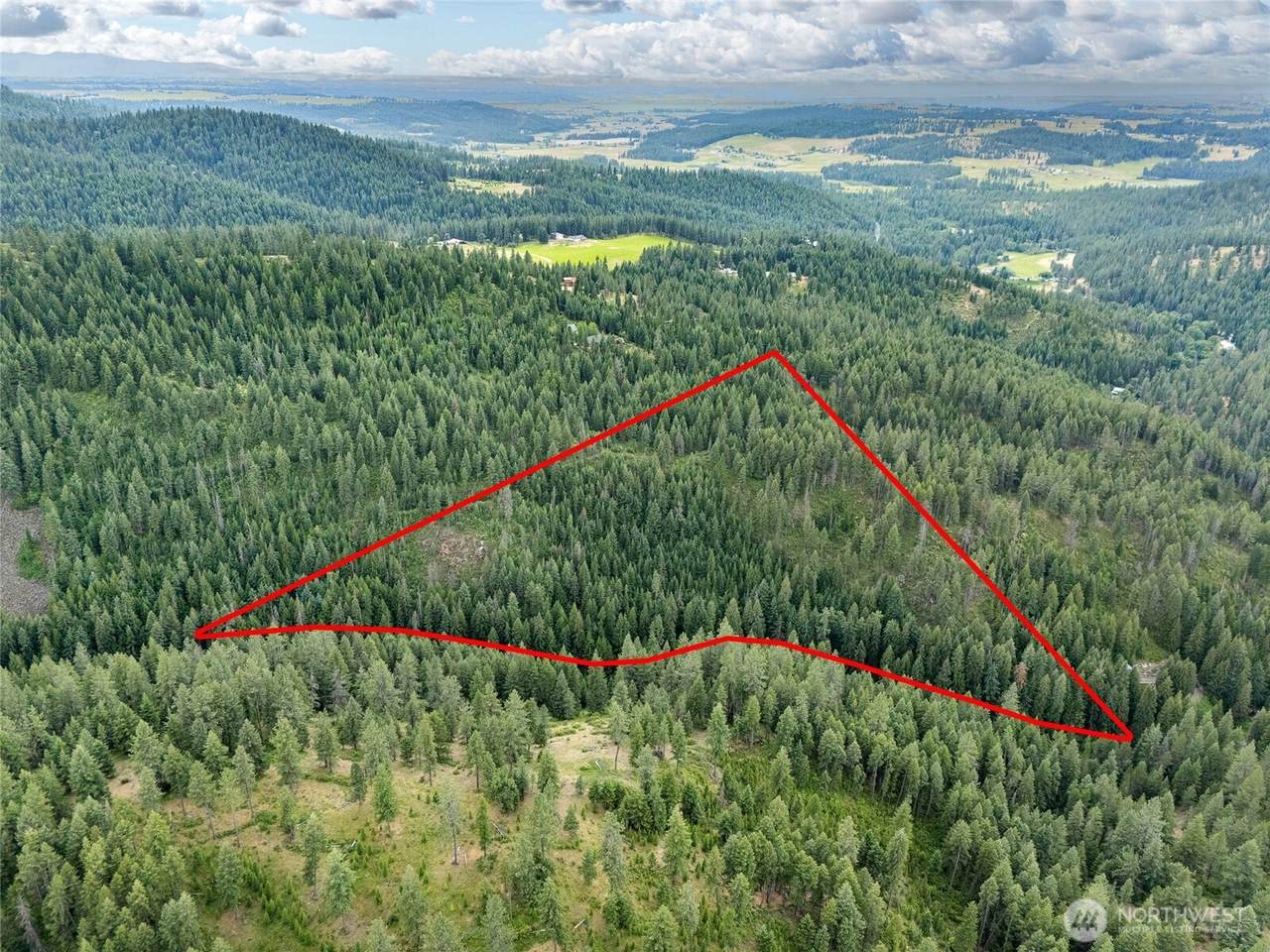 19960 Mt Spokane Park Dr - Photo 1