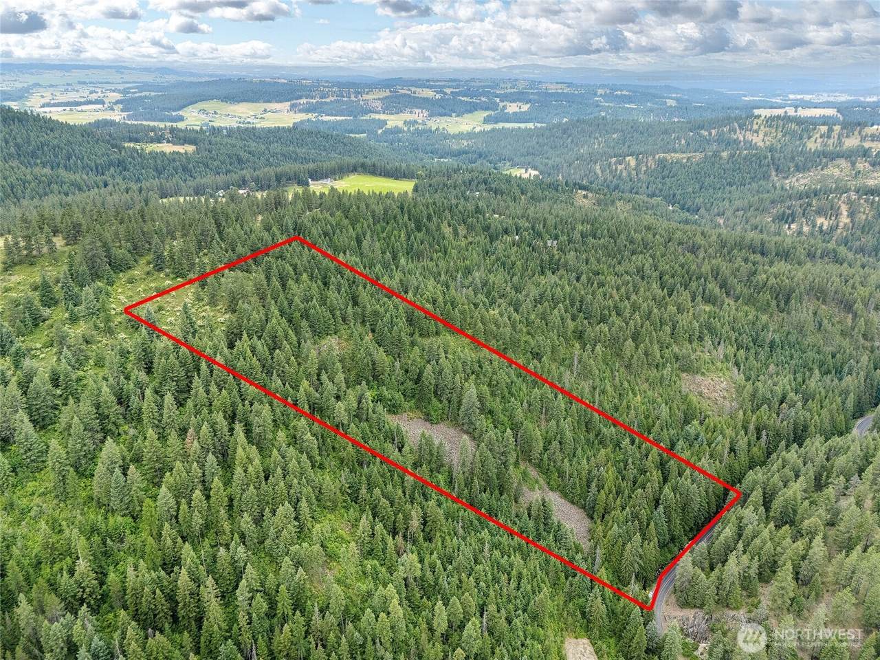 19970 Mt Spokane Park Dr - Photo 1