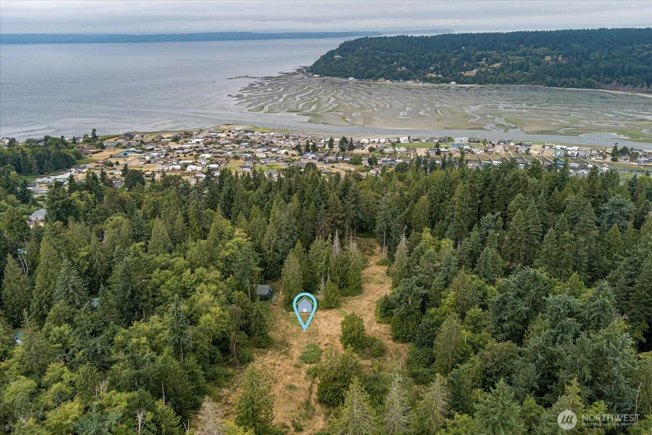 8175 Mossy Rock Road - Photo 1