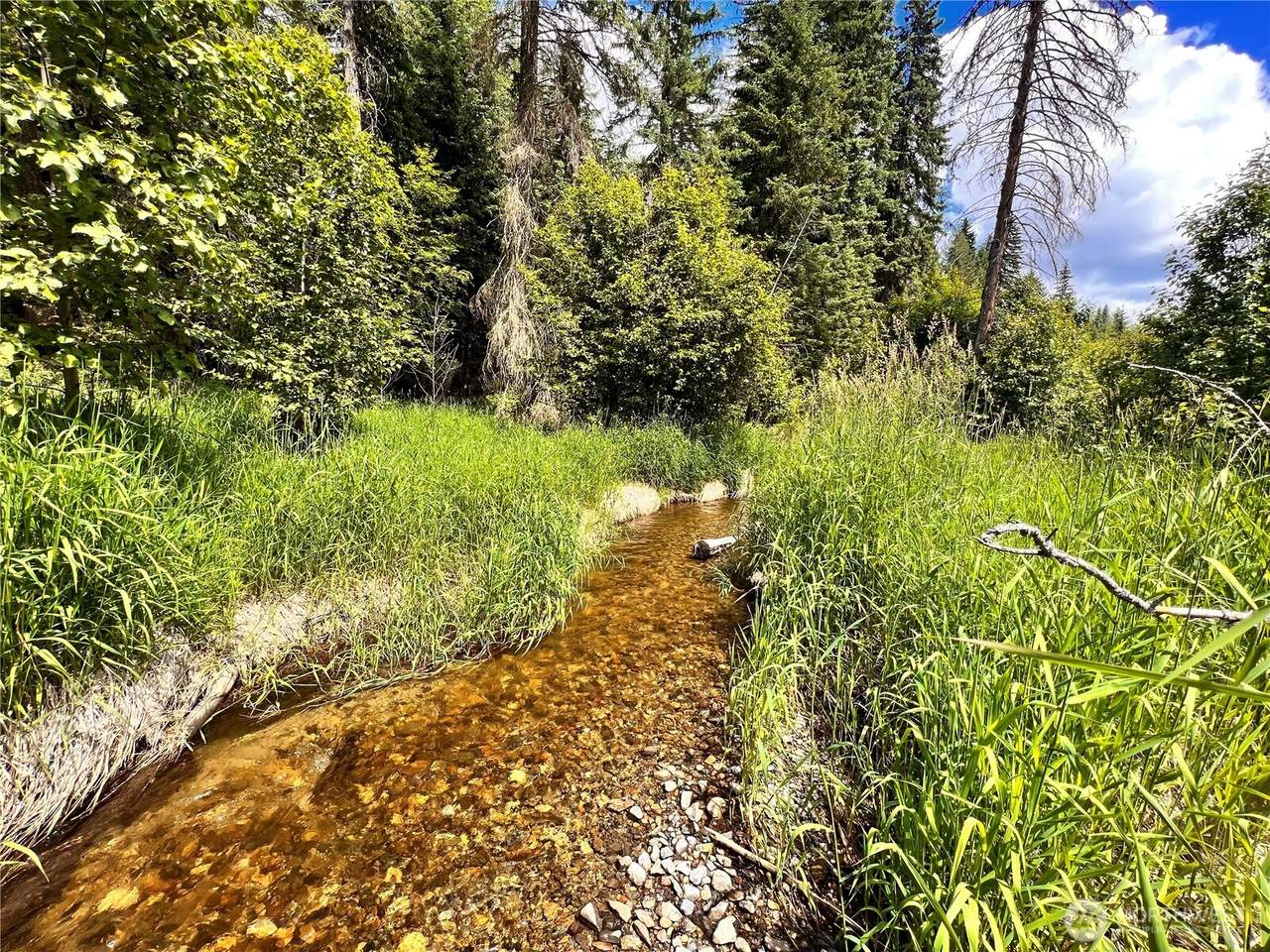 0 Lambert Creek Road - Photo 1