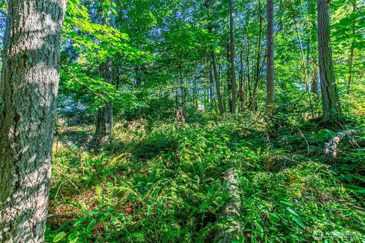 36922 6th Avenue - Photo 1