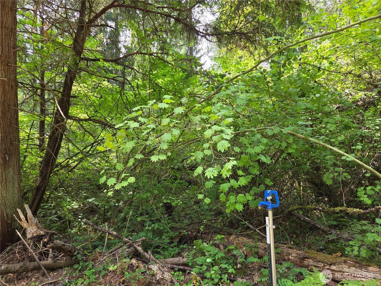 22041 Clear Lake Boulevard - Photo 1