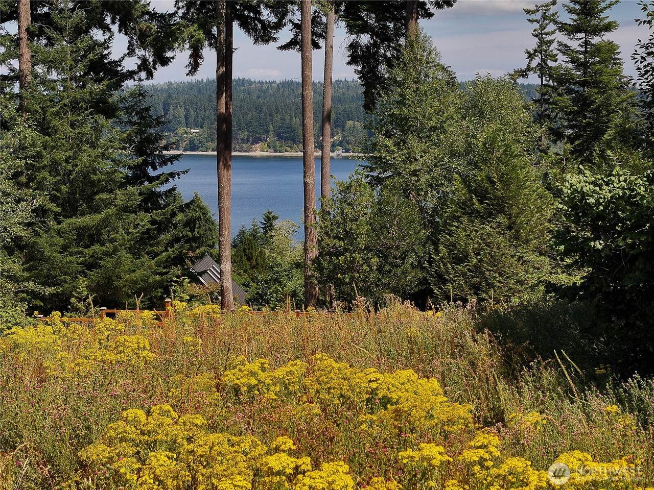 0 XXX Honeymoon Bay Road - Photo 1