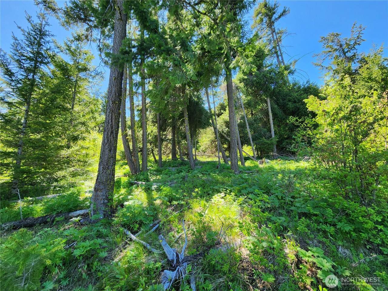 1 Black Hawk Drive - Photo 1