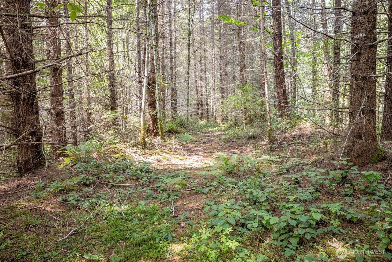 101 Durrwachter - Photo 1