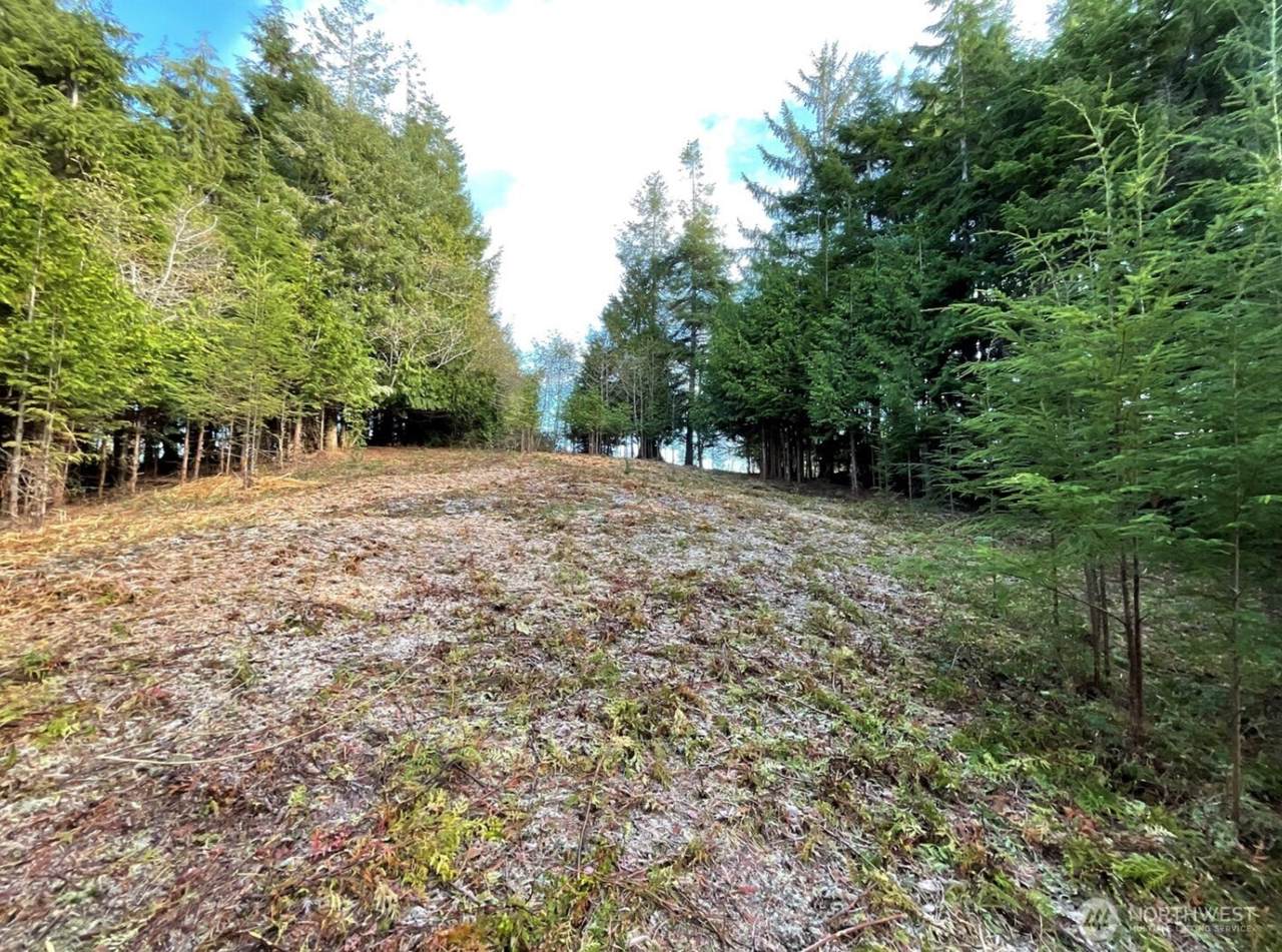 29 Spruce Court - Photo 1