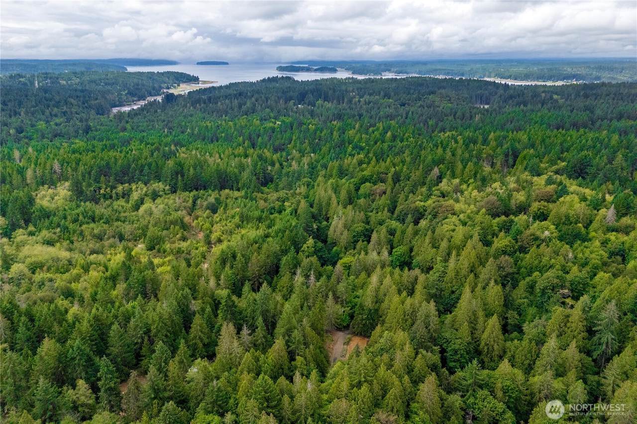 13624 180th Ave Nw - Photo 1