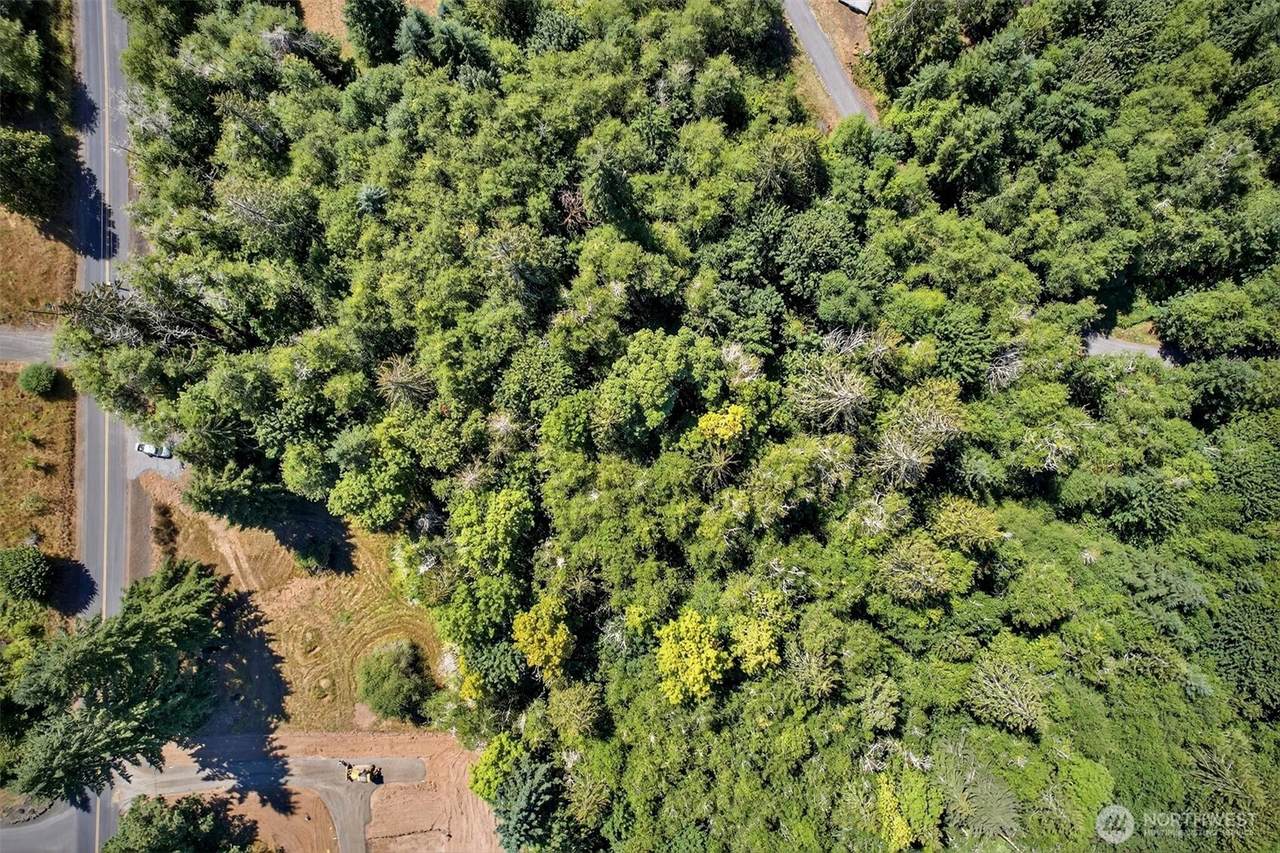 956 Paine Road - Photo 1