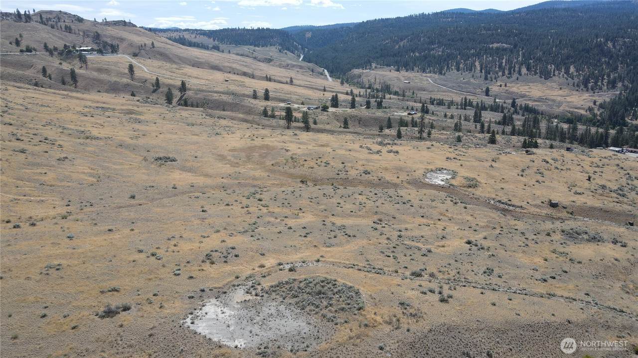 15 Pine Bluff - Photo 1