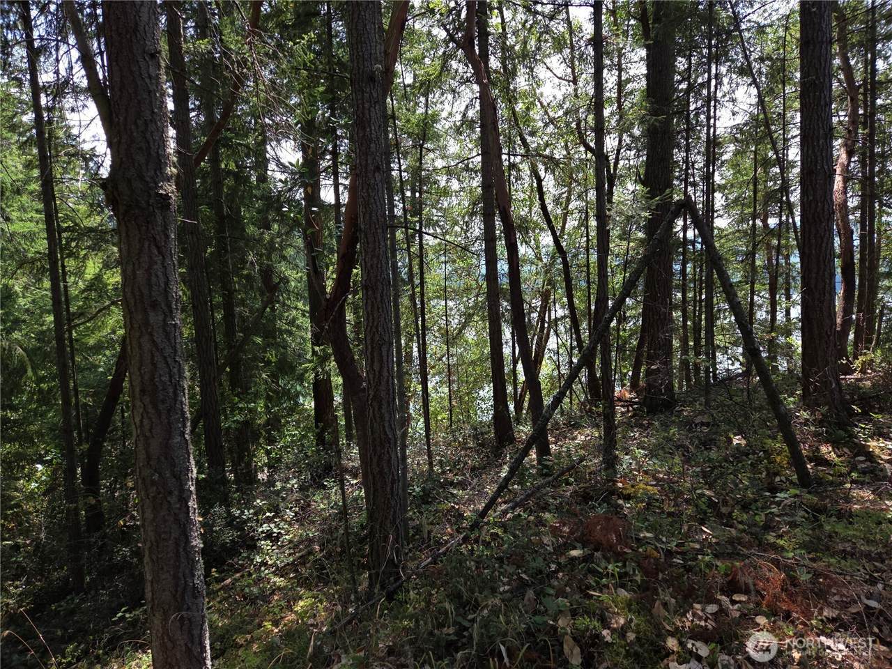 22137 Clear Lake Boulevard - Photo 1