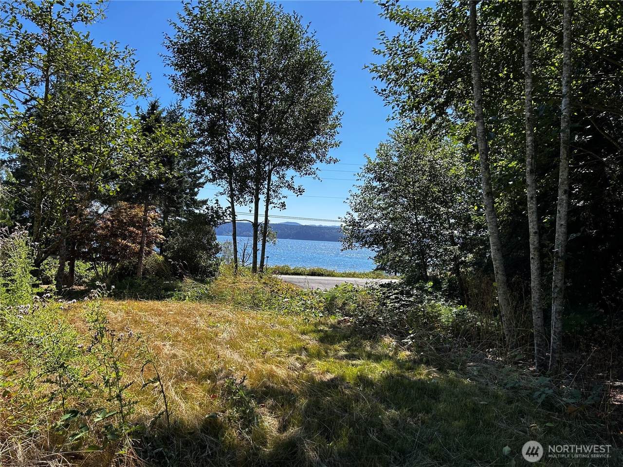 11 Williams Court - Photo 1