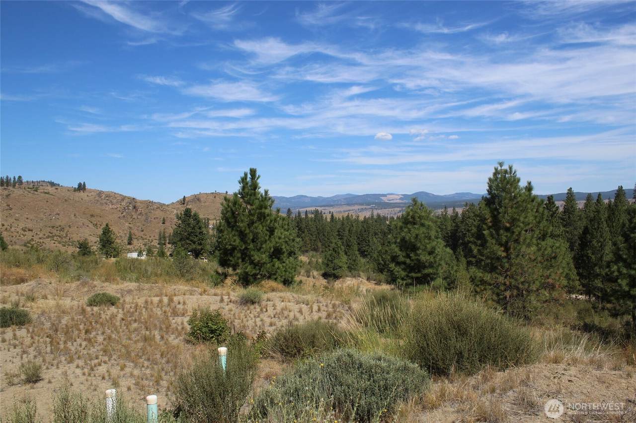 36605 Teel Hill Road - Photo 1