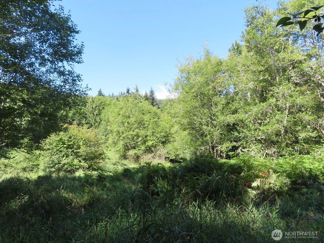0 Salmon Creek Road - Photo 1