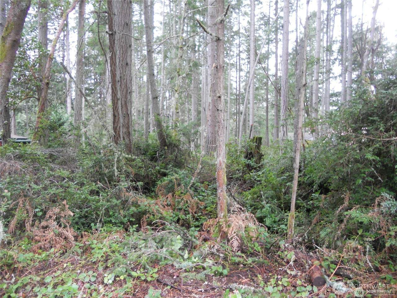 10424 107th Avenue Ct - Photo 1