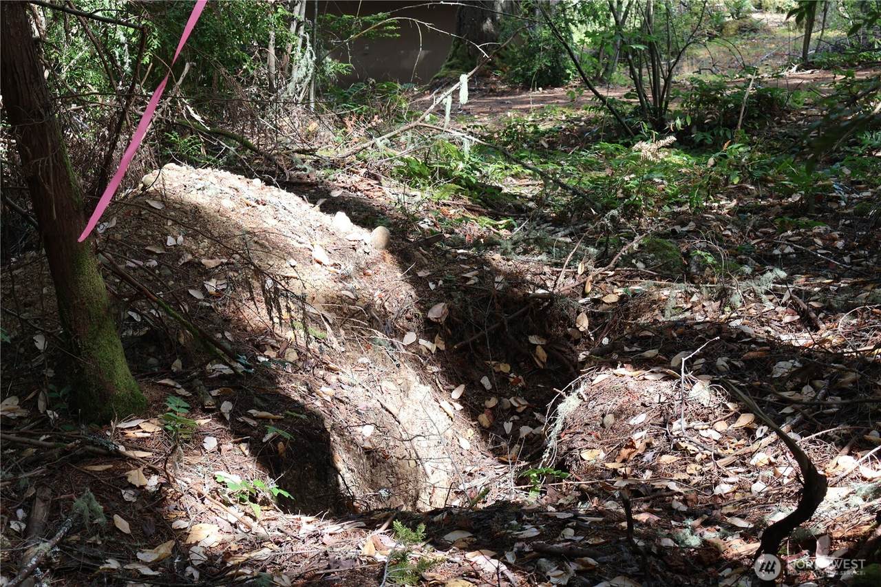 3659 Green Mountain Road - Photo 1