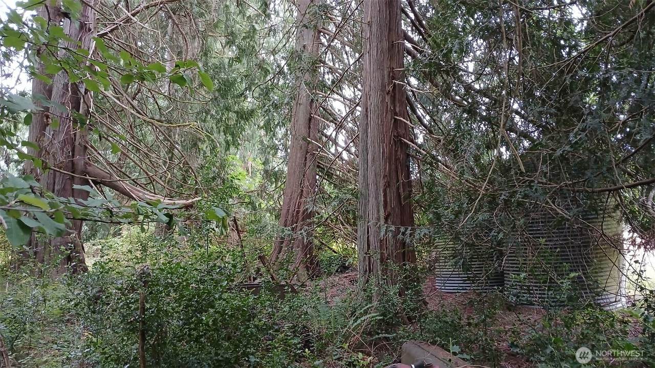 0 127th Avenue - Photo 1