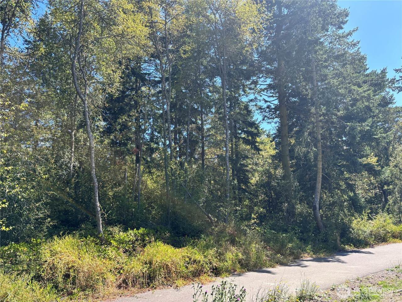 15 xx Rainier Street - Photo 1