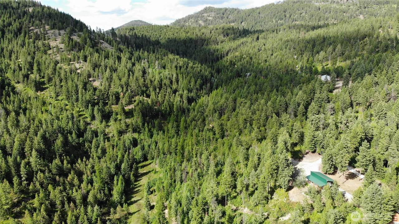 1733 Old Cc Road - Photo 1