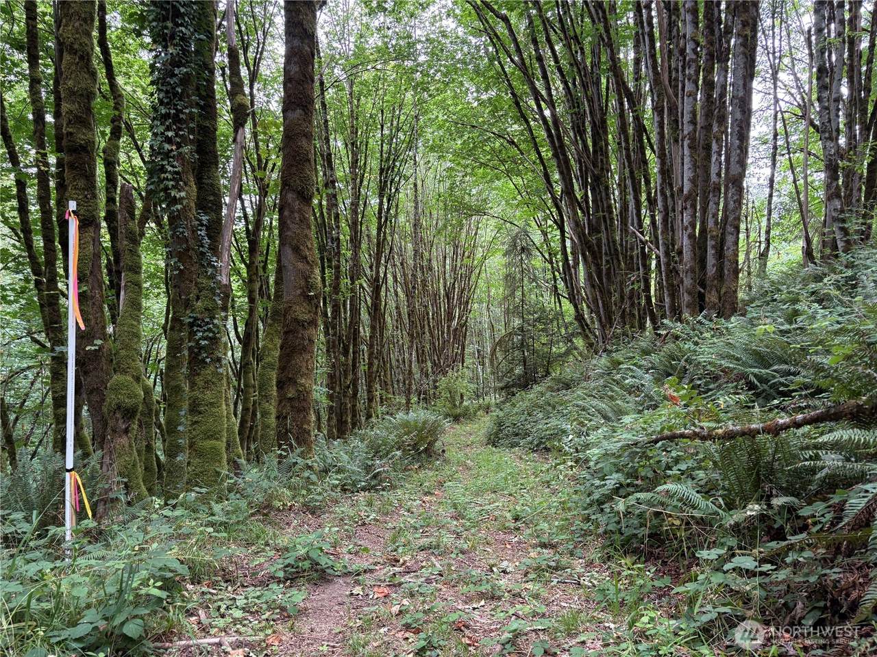 0 P#61828 Brussat - Photo 1