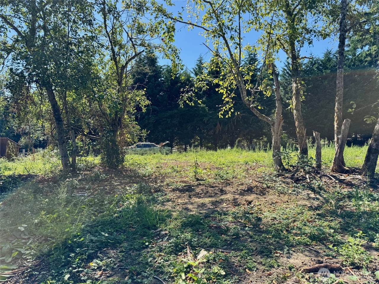 16500 107th Place - Photo 1