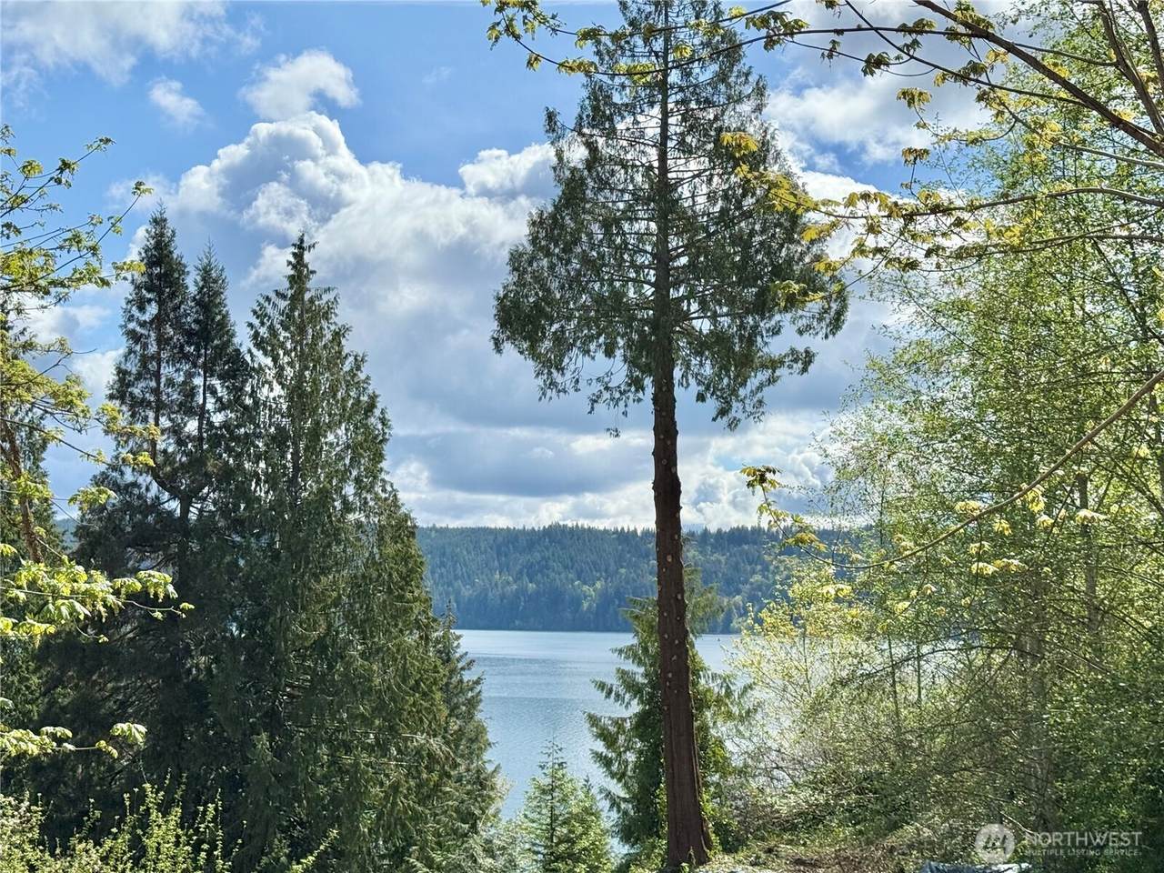 147 Shar Lane - Photo 1