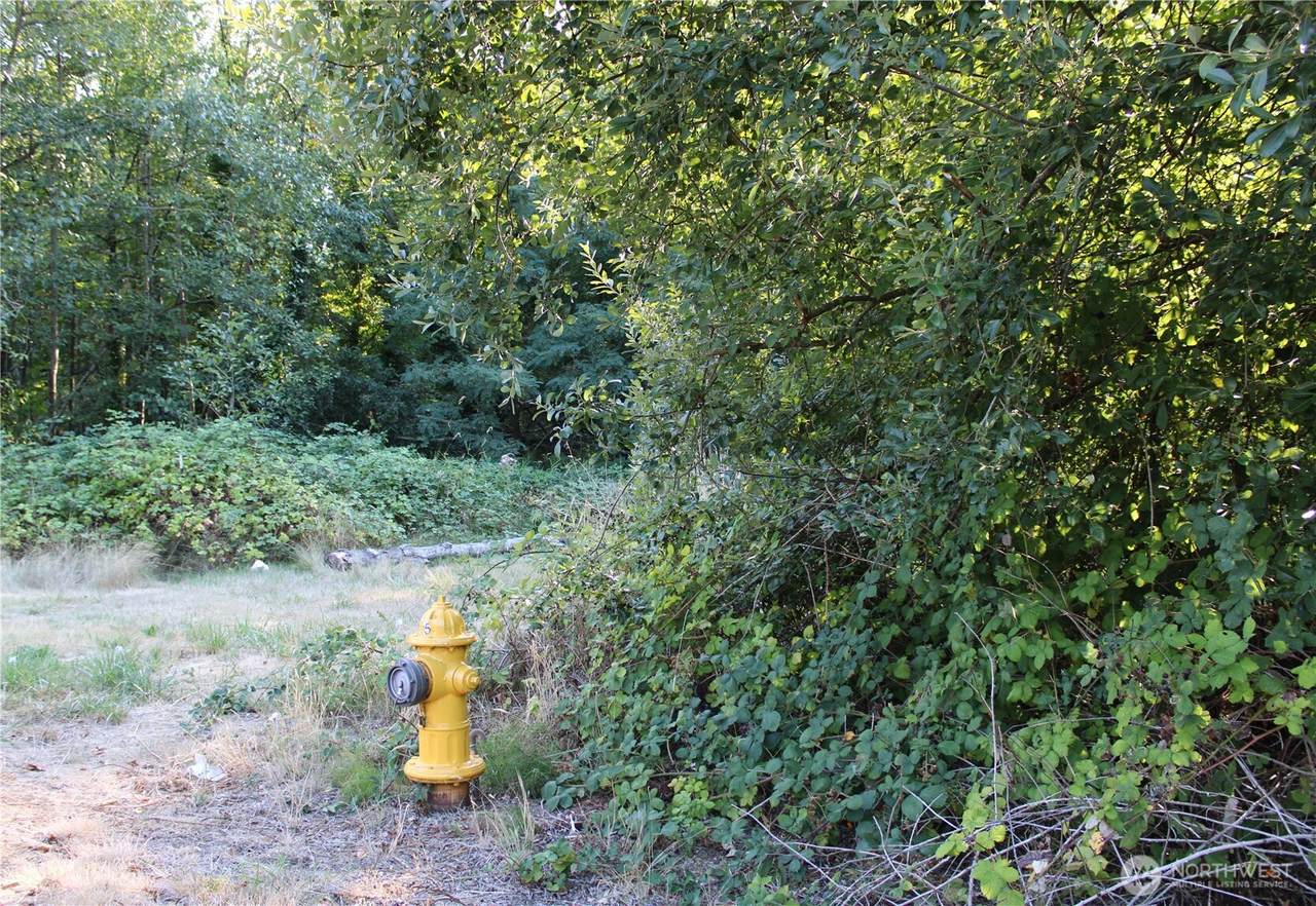 17227 1st Avenue - Photo 1