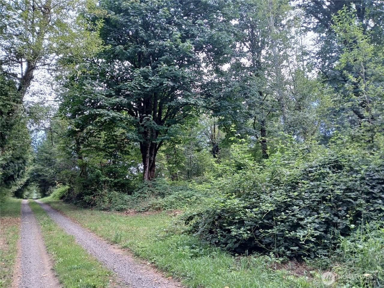 0 Boyd Road - Photo 1