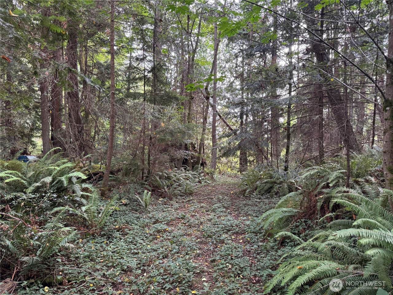 0 XXX Sills Road - Photo 1