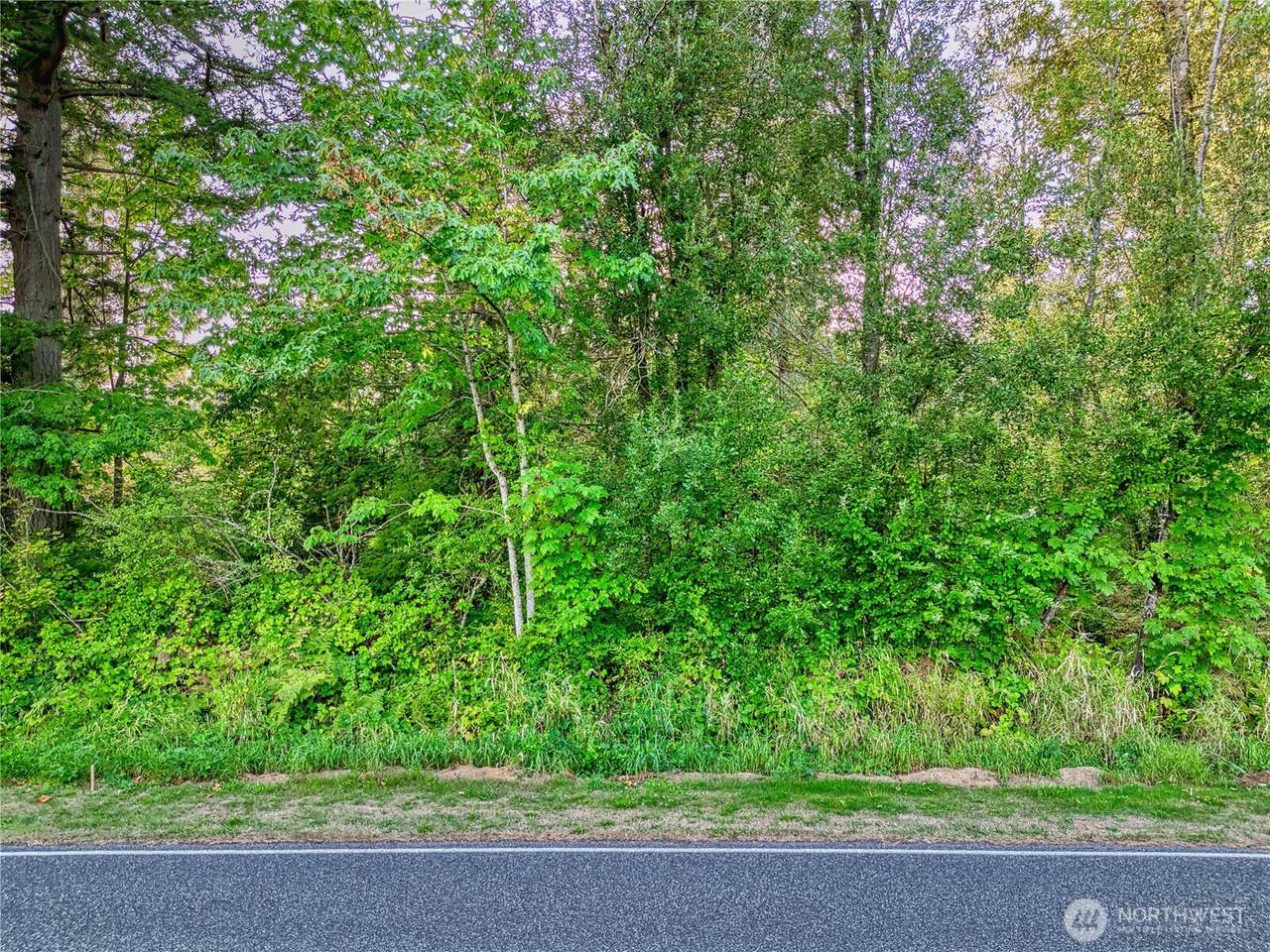 9547 Harvey Road - Photo 1