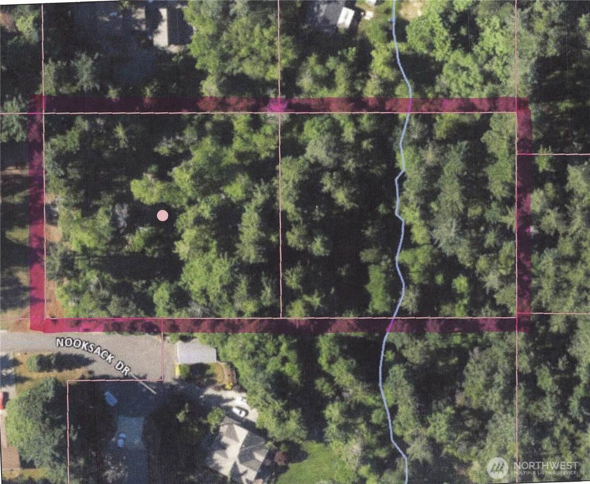 1239 Nooksack Drive - Photo 1