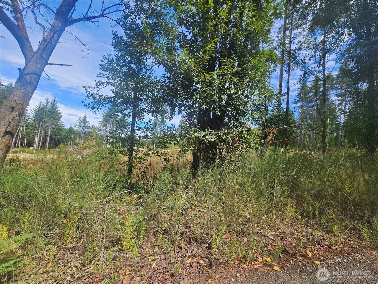 91 Joyce Lane - Photo 1